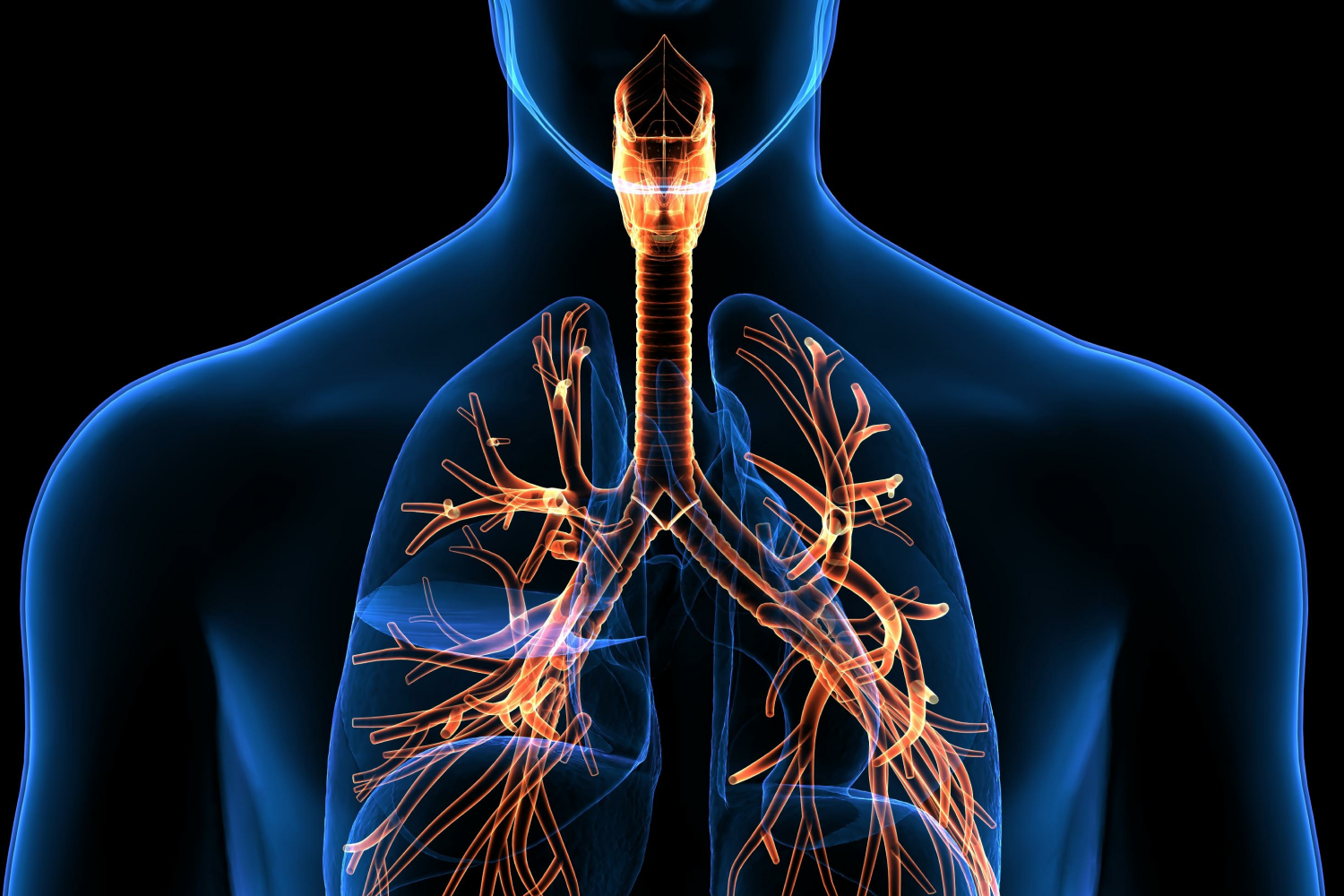 Disorders and terminology of Respiratory system | CHAPTER 4 | Anatomy and Physiology