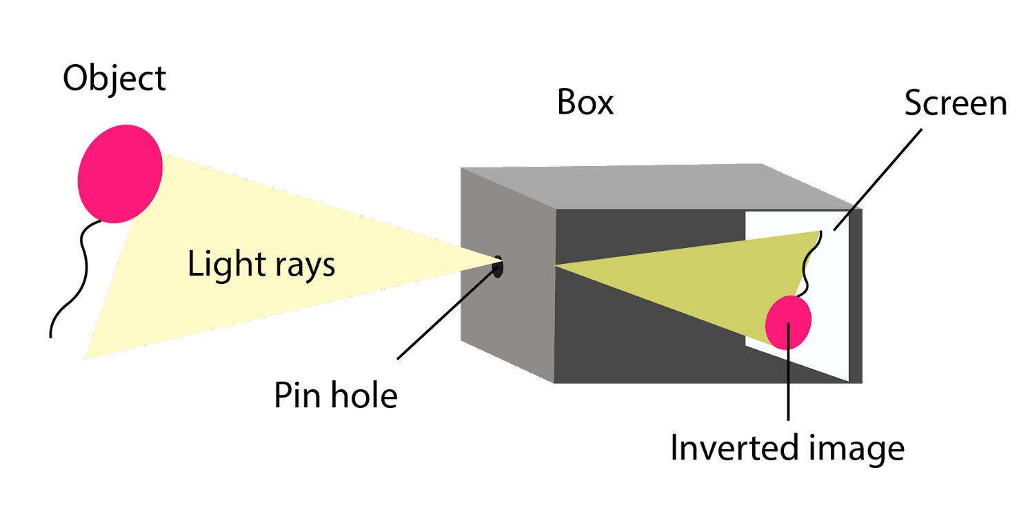 The eye acts as a camera | CHAPTER 10 | Anatomy and Physiology