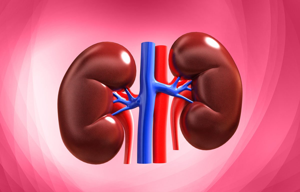 Chronic renal failure | CHAPTER 12 | Pediatric Nursing