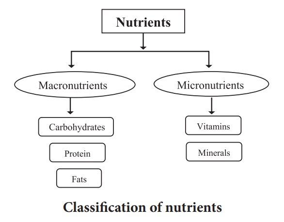 Essential Nutrients | CHAPTER 1 | Nutrition and Dietetics