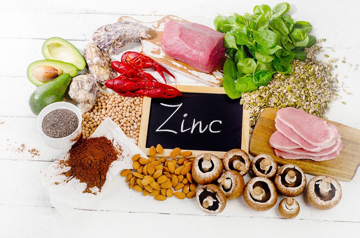 Concept about Zinc | CHAPTER 1 | Nutrition and Dietetics