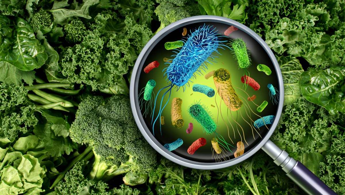 Food borne disease | CHAPTER 4 | Nutrition and Dietetics