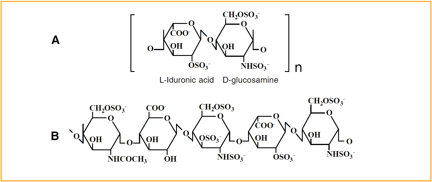 Concept About Heparin