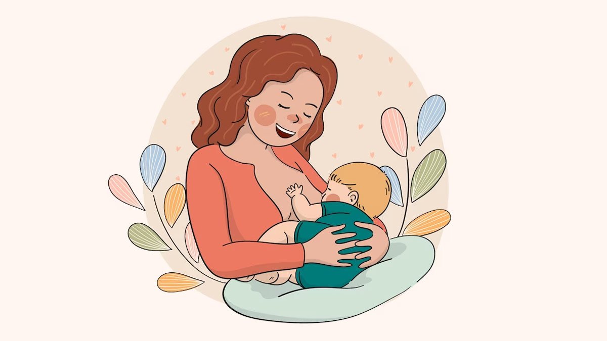 Concept about Lactation | CHAPTER 9 | Anatomy and Physiology