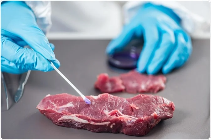 Meat borne disease | CHAPTER 4 | Nutrition and Dietetics