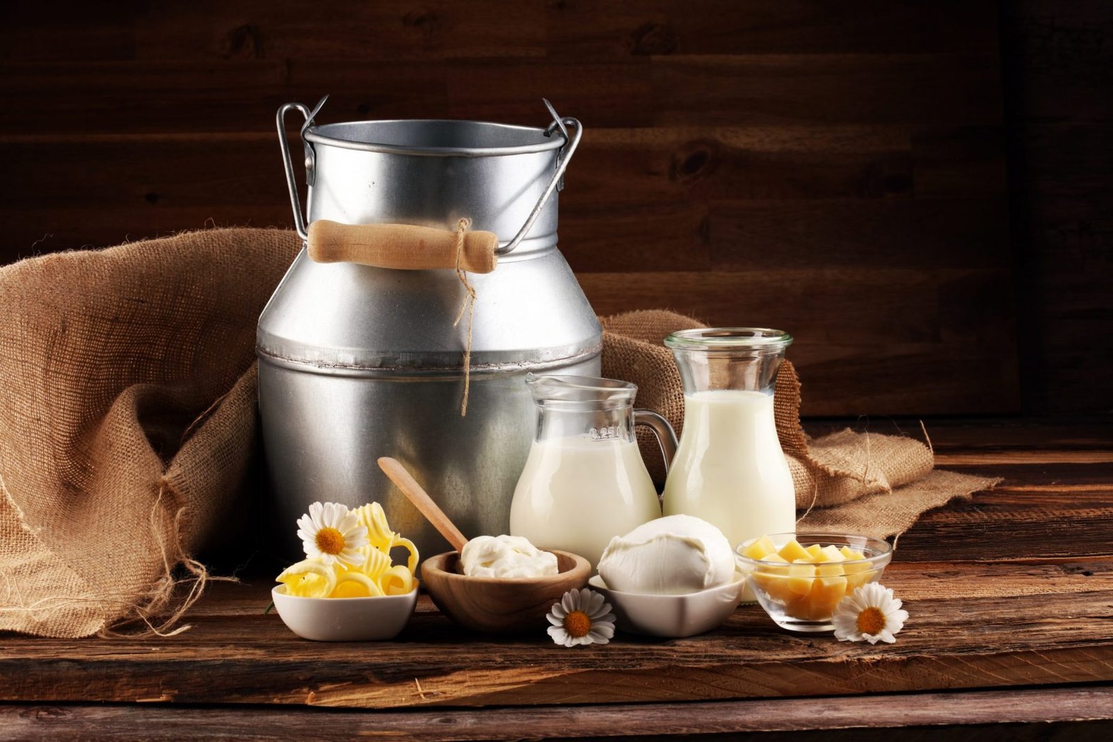 Milk Borne Diseases | CHAPTER 4 | Nutrition and Dietetics