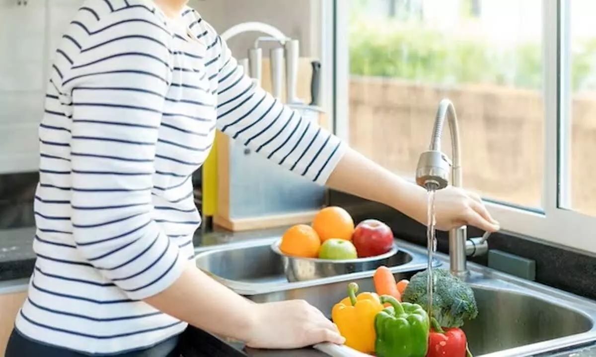 Safety Food/ Food Hygiene | CHAPTER 4 | Nutrition and Dietetics