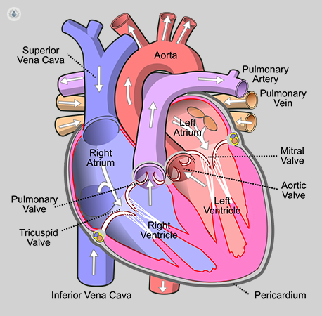 Valvular Heart Disease | CHAPTER 10 | Pediatric Nursing