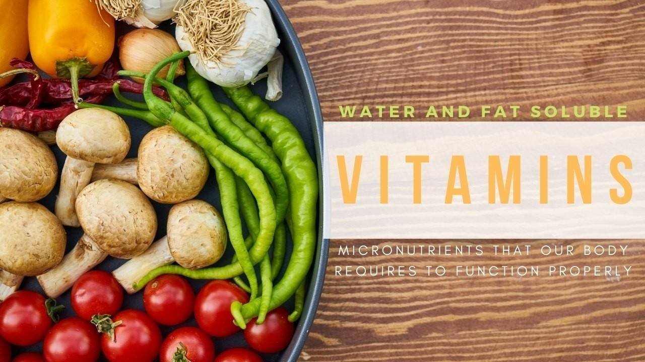 Water Soluble Vitamin | CHAPTER 1 | Nutrition and Dietetics