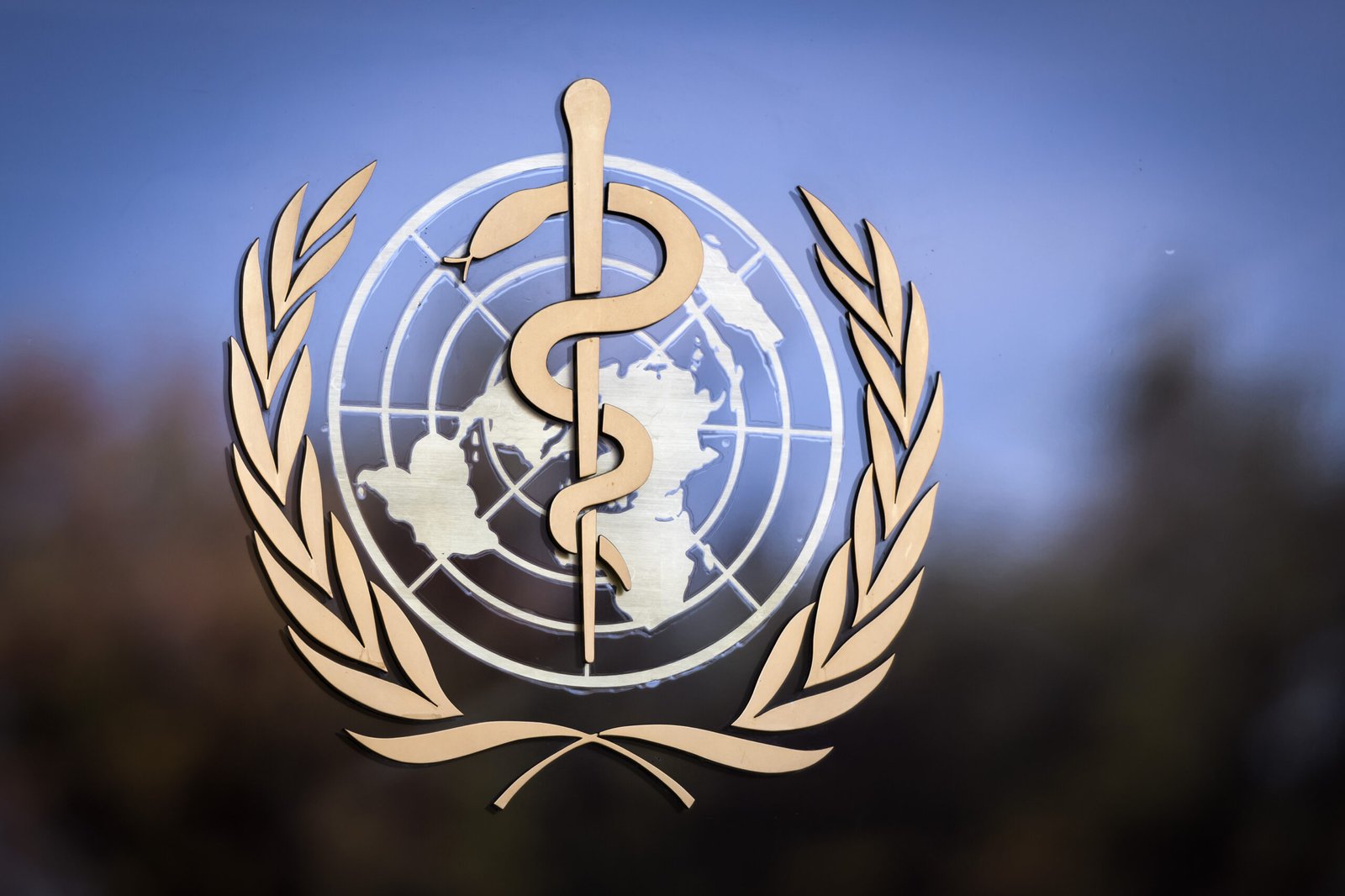World health Organization