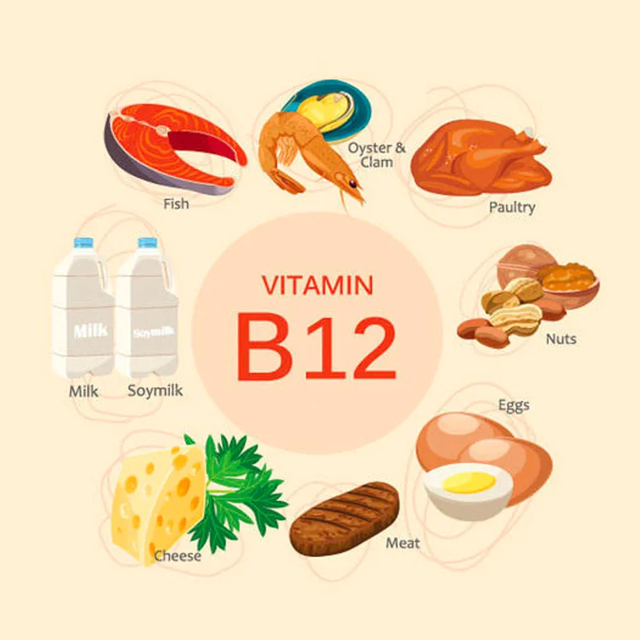 Vitamin B12 Or Cyanocobalamin | CHAPTER 1 | Nutrition and Dietetics