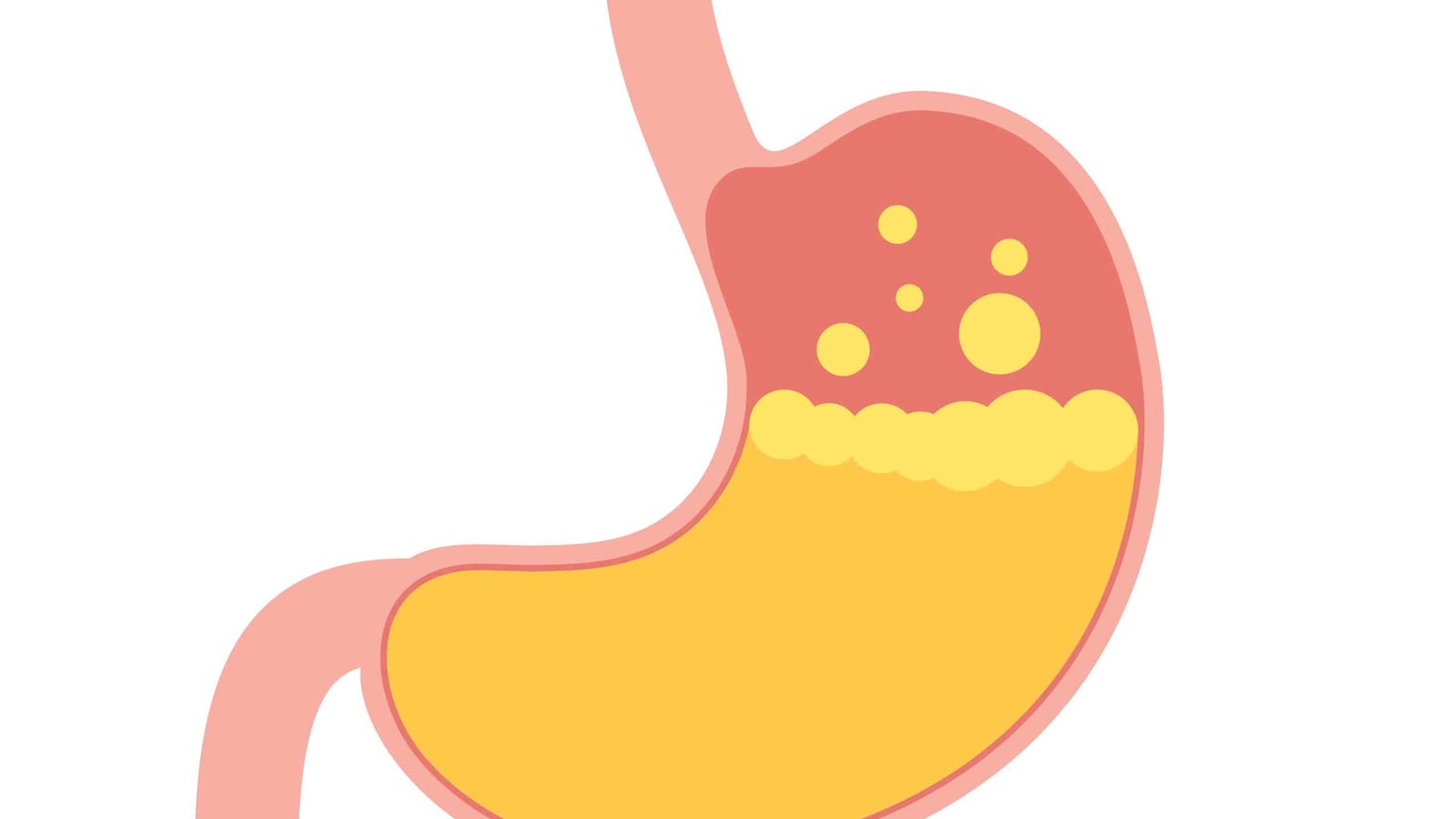 Concept About Purgatives, Laxatives | CHAPTER-8 | Pharmacology