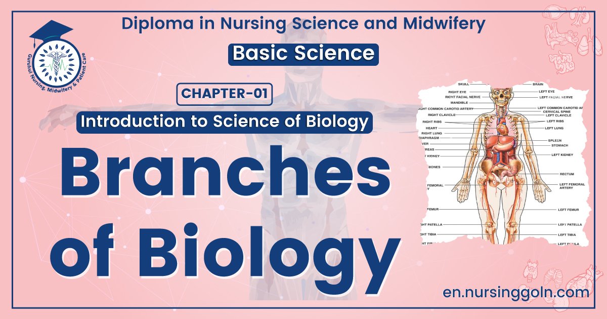 Branches of Biology