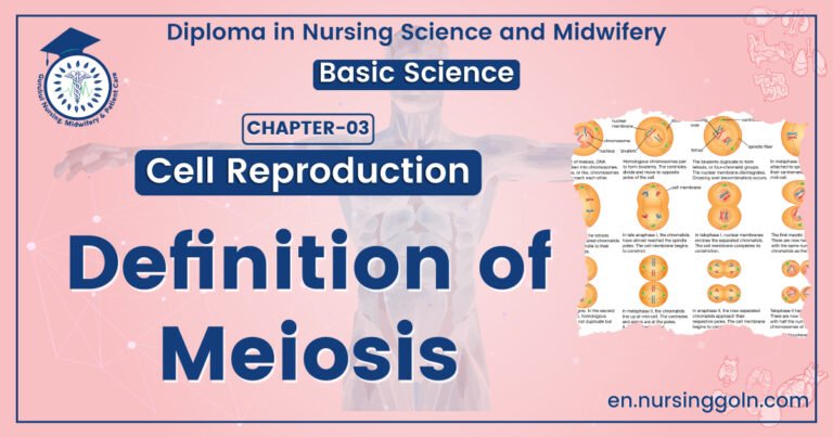 Definition of Meiosis