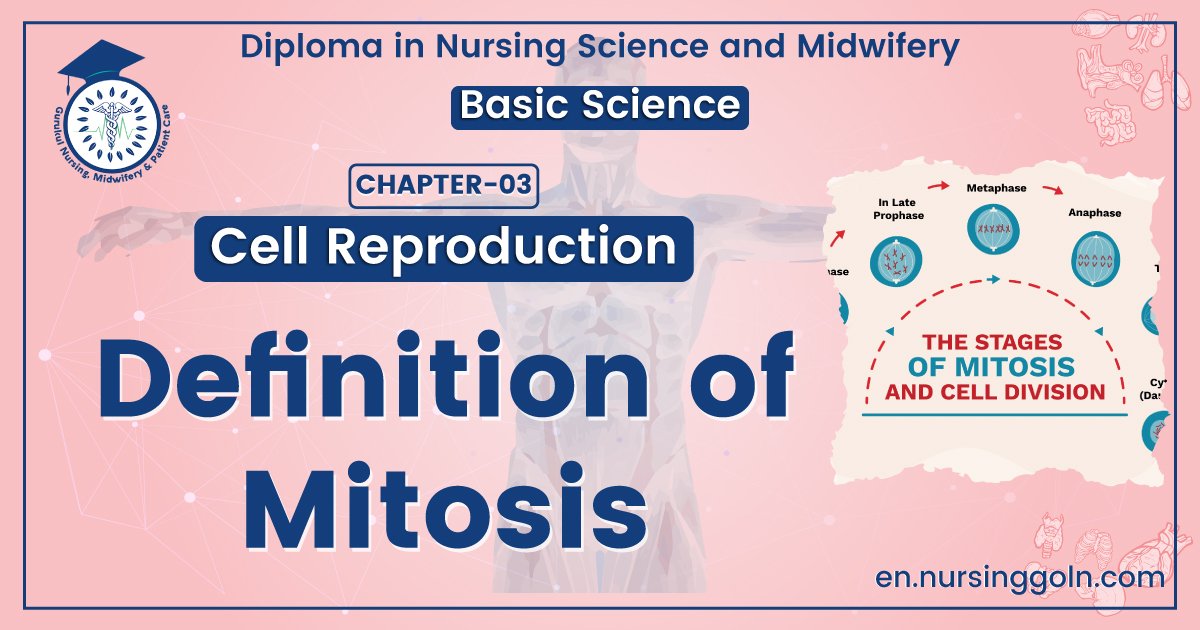 Definition of Mitosis