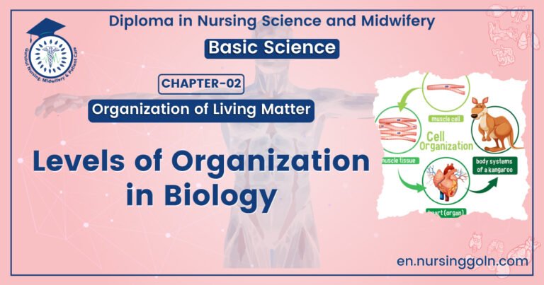 Levels of organization in biology