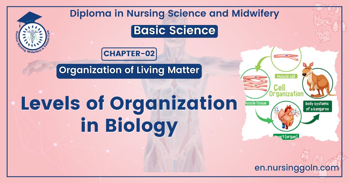 Levels of organization in biology