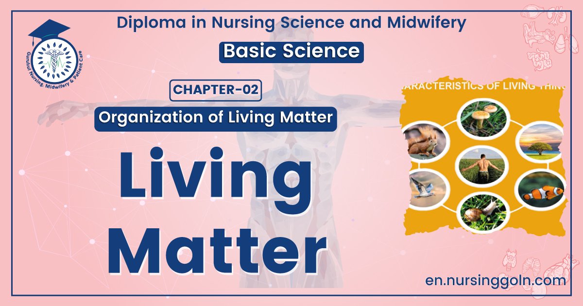 Organization of Living Matter
