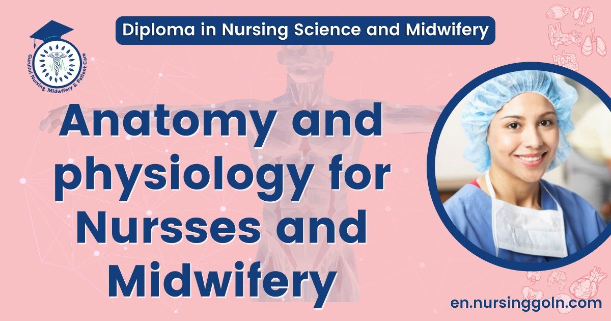 Anatomy and Physiology for Nursses and Midwifery | Diploma in Nursing Science and Midwifery