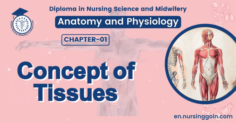 Concept of Tissues | CHAPTER 1 | Anatomy and physiology