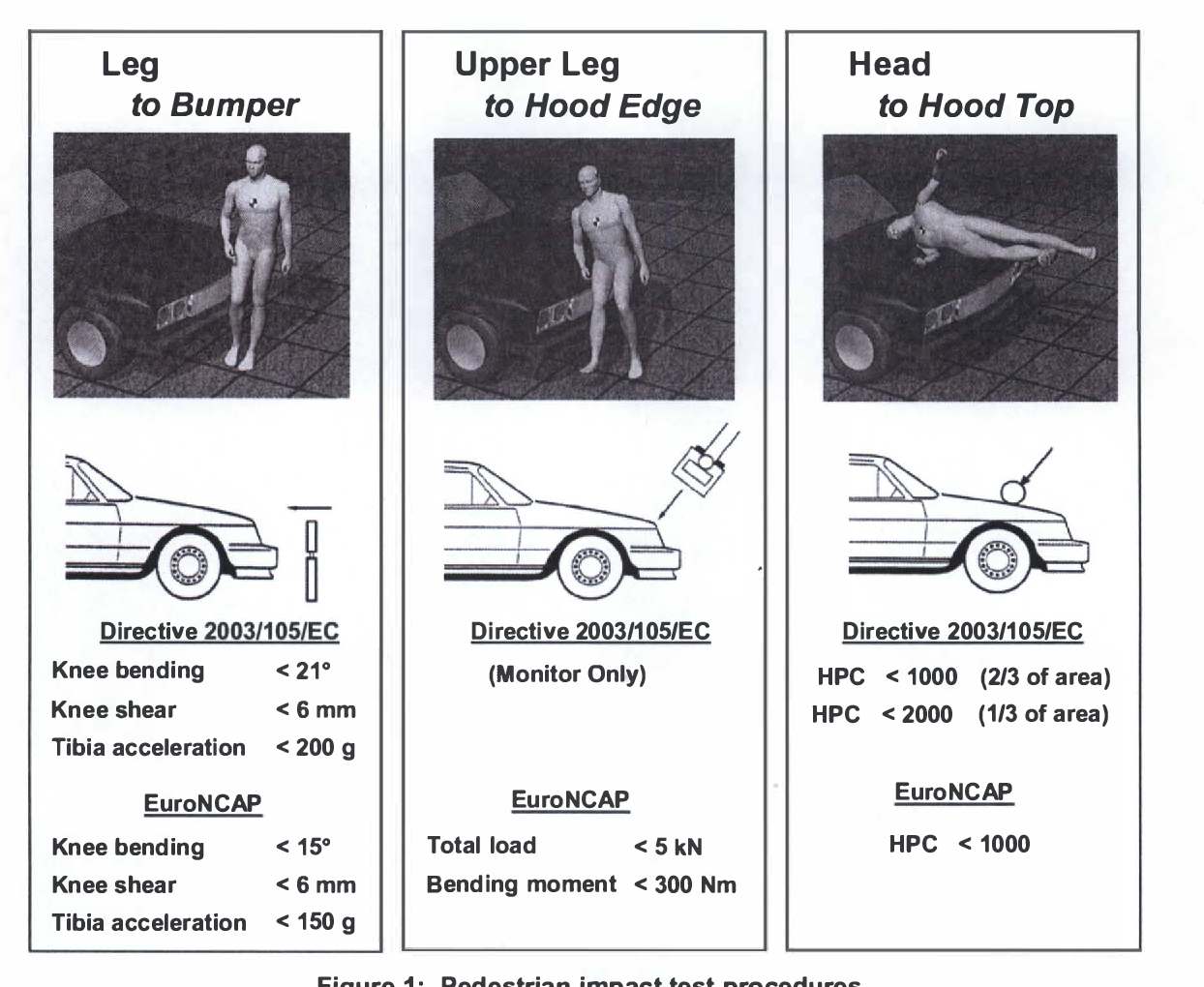 Introduction to Orthopedic Nursing | CHAPTER 1 | Orthopedic Nursing