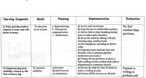 Definition of Amputation | CHAPTER 8 | Orthopedic Nursing