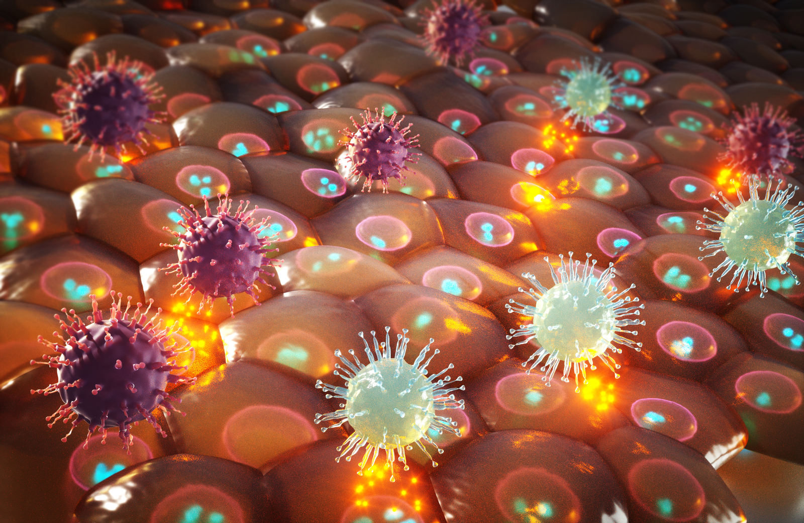 Concept about Universal precautions