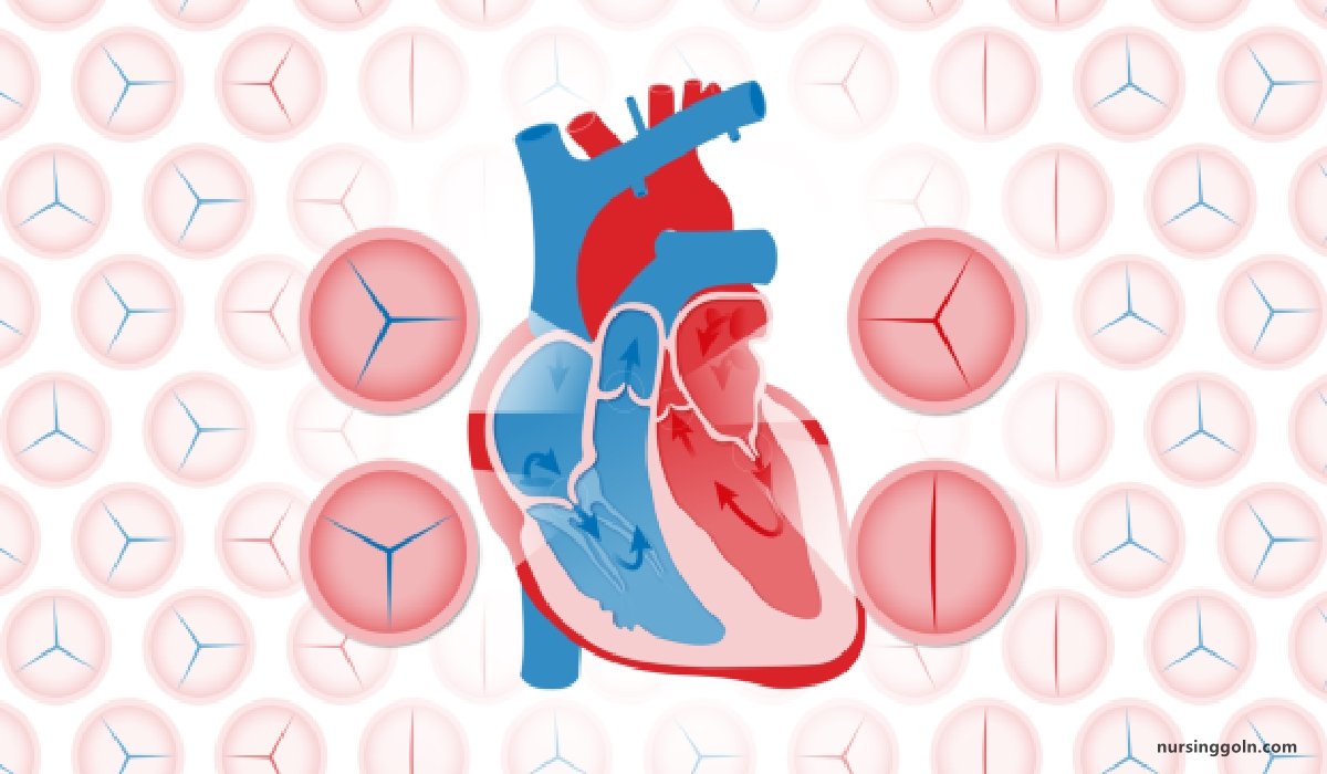 Vulvular Heart Disease /Problems | CHAPTER-13 | Medical and Surgical Nursing