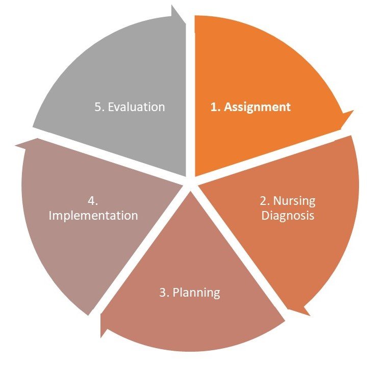 Steps in the Nursing Process
