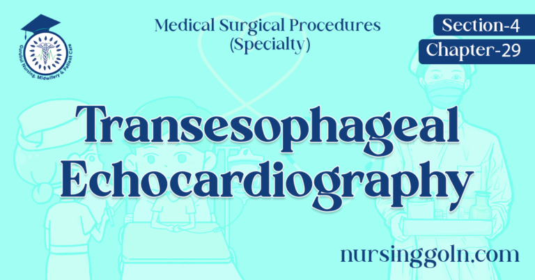 Transesophageal of Echocardiography