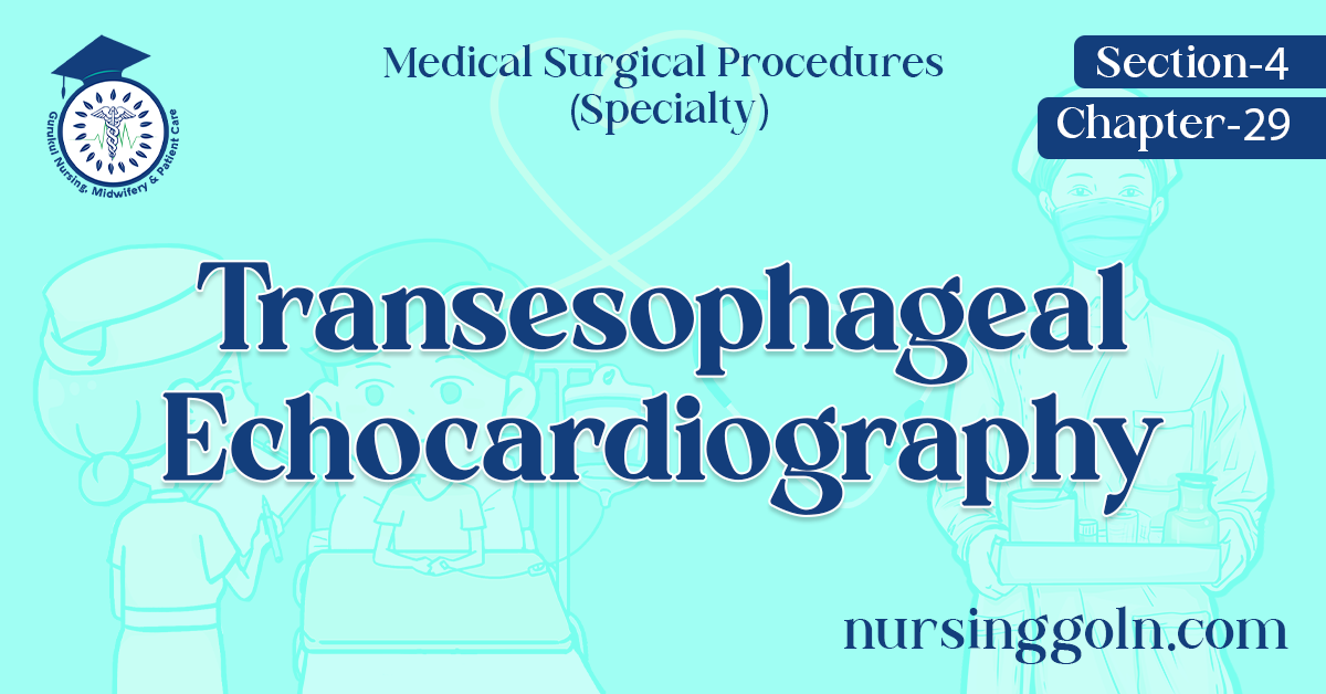 Transesophageal Echocardiography