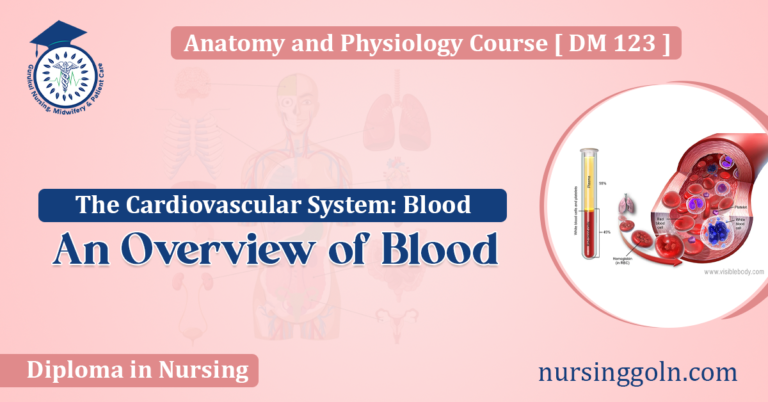 An Overview of Blood