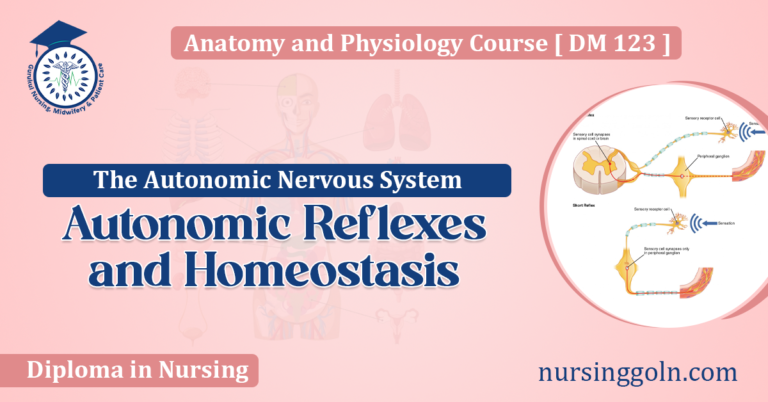 Autonomic Reflexes and Homeostasis