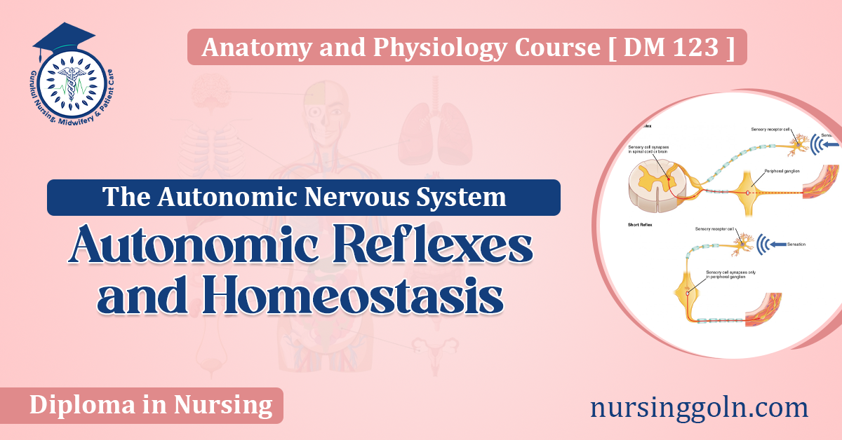 Autonomic Reflexes and Homeostasis
