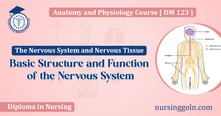 Basic Structure and Function of the Nervous System