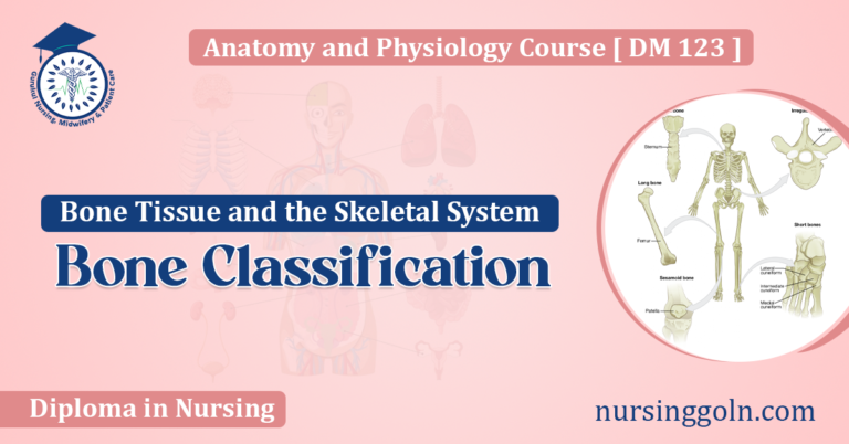Bone Classification