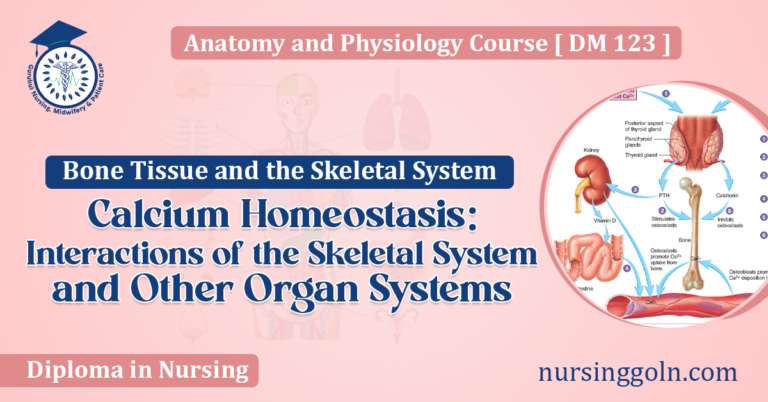 Calcium Homeostasis Interactions of the Skeletal System and Other Organ Systems