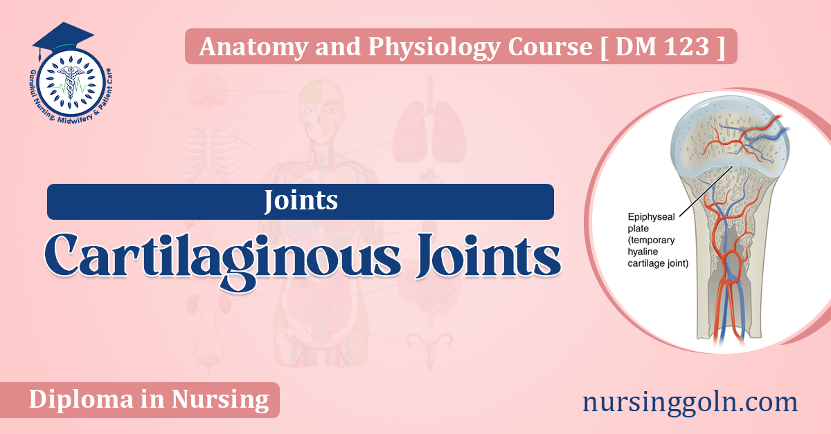 Cartilaginous Joints