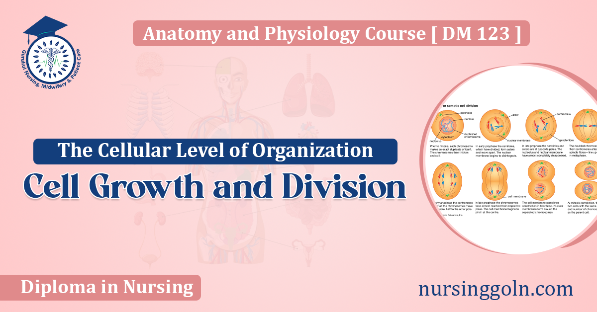 Cell Growth and Division: The Cellular Level of Organization