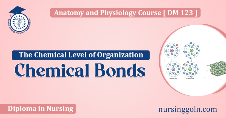 Chemical Bonds