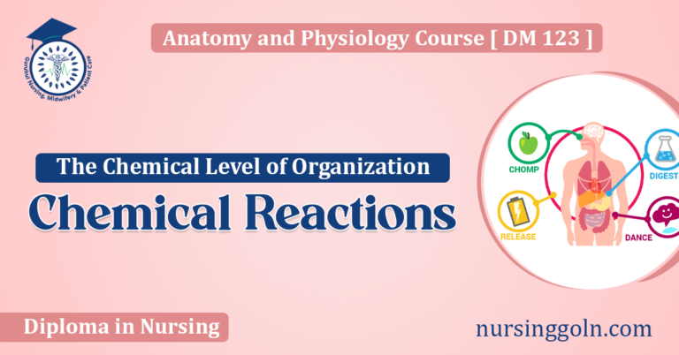 Chemical Reactions