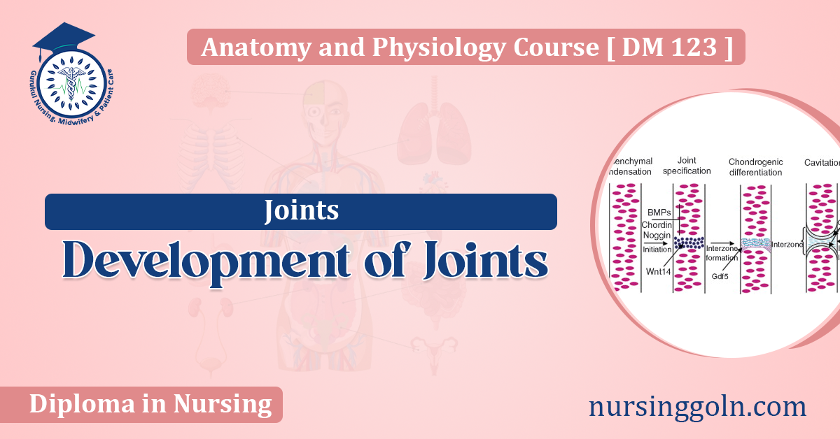Development of Joints