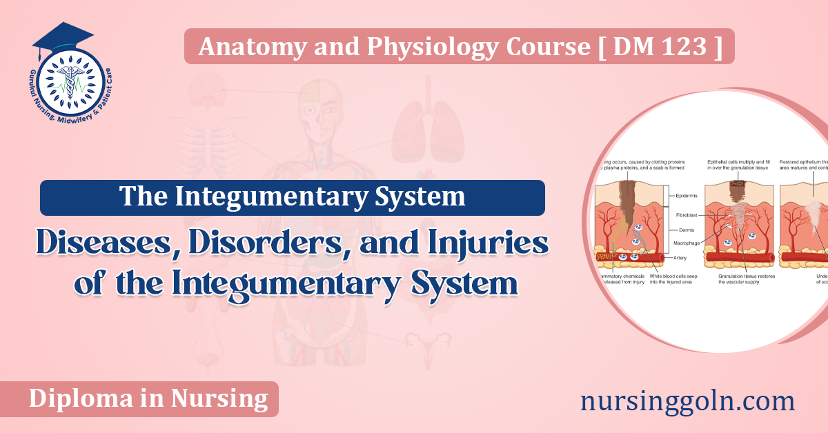 Diseases, Disorders, and Injuries of the Integumentary System