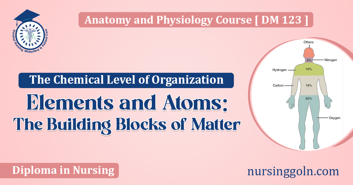 Elements and Atoms The Building Blocks of Matter
