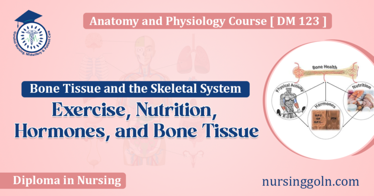 Exercise, Nutrition, Hormones, and Bone Tissue