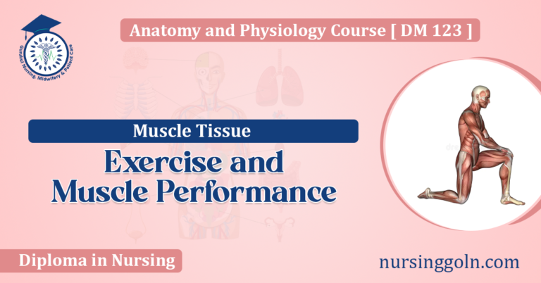 Exercise and Muscle Performance