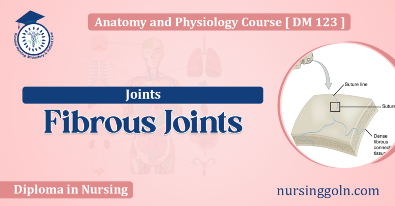Fibrous Joints