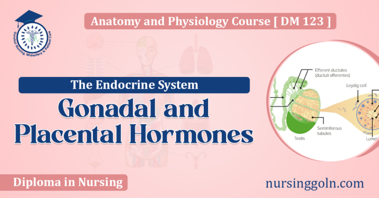 Gonadal and Placental Hormones