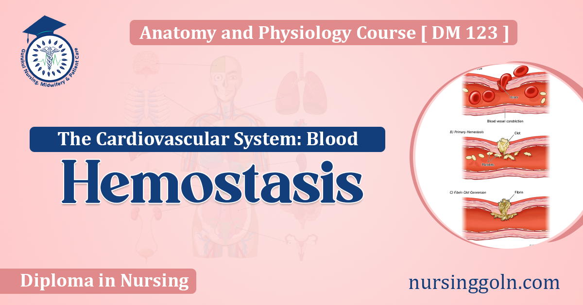 Hemostasis