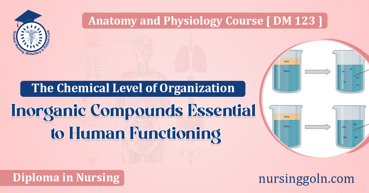 Inorganic Compounds Essential to Human Functioning